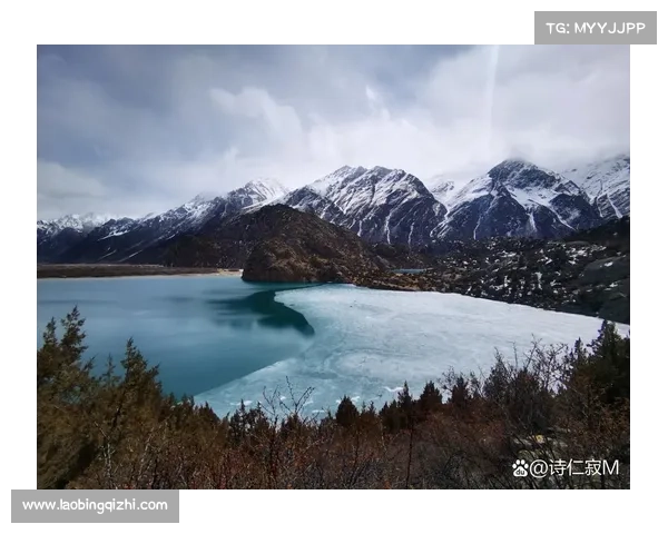冬霜群岛探险:冰雪秘境探秘攻略 冬霜群岛探险:冰雪秘境探秘攻略