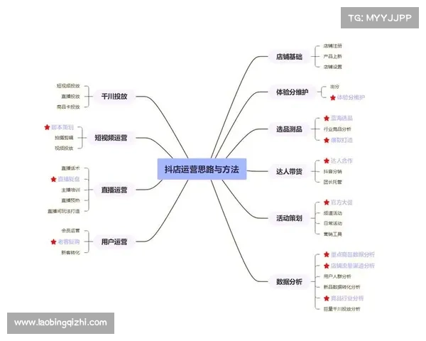 从基础到高级全面掌握法宝应用技巧的实用教程 从基础到高级全面掌握法宝应用技巧的实用教程